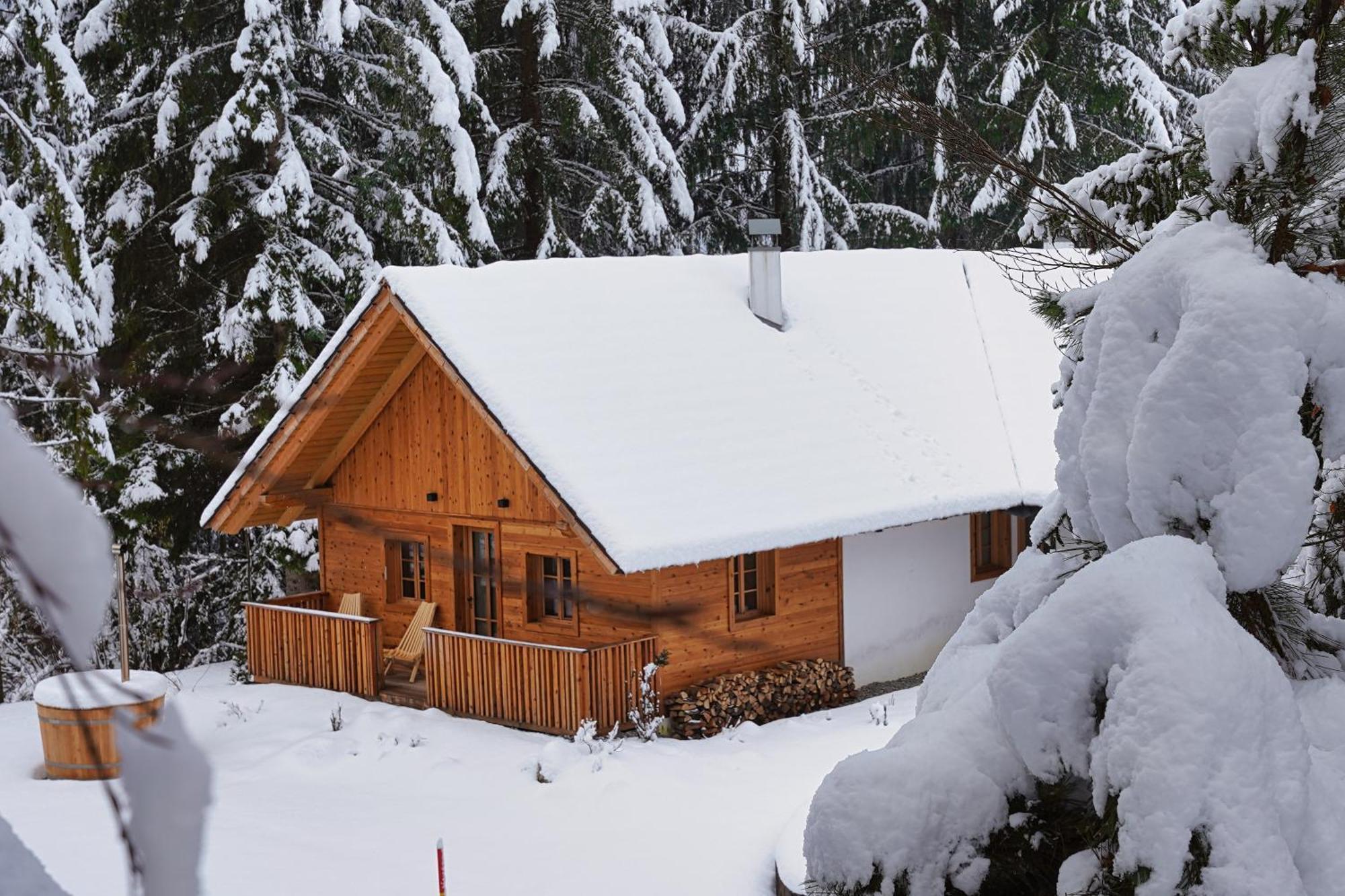 Rateče Alpine Retreat Apartments Surc מראה חיצוני תמונה